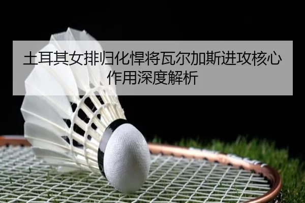 tu-er-qi-nv-pai-gui-hua-han-jiang-wa-er-jia-si-jin-gong-he-xin-zuo-yong-shen-du-jie-xi-3-490.jpg